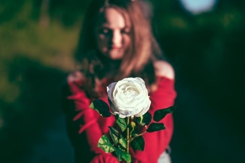 Simpatia da rosa para abrir caminhos no amor